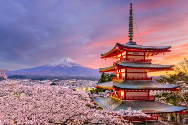 Fuji-dagi-chureito-pagoda-kiraz-cicekleri-sakura