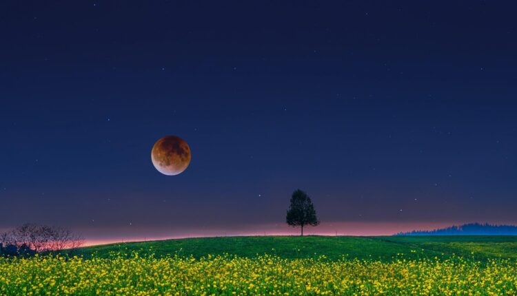 insanin-gokyuzu-meraki