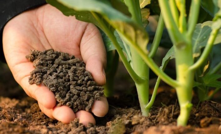 organik-tarimin-incelikleri